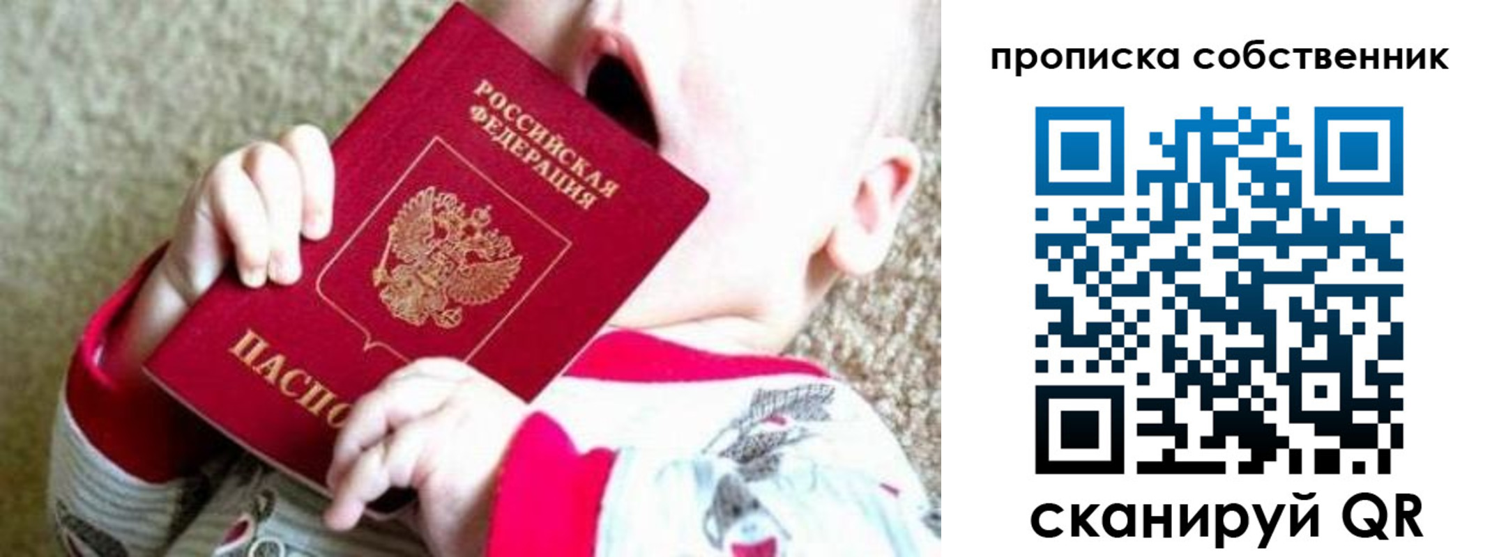 прописка для школы в Мурино